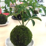 一丁目の元気